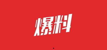 最新石家庄职场爆料,揭秘职场风云变幻